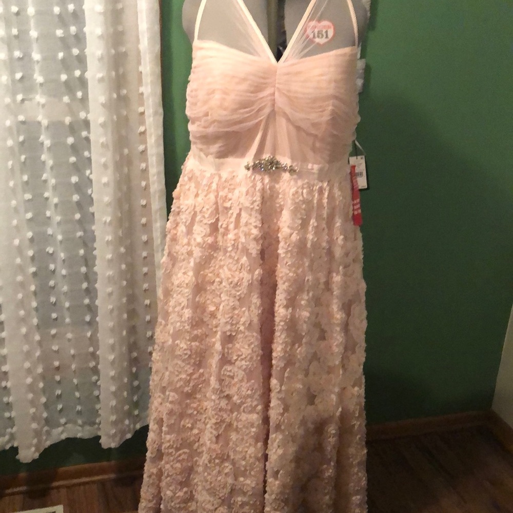 Sleeveless Blush Pink Floral Lace Evening Dress